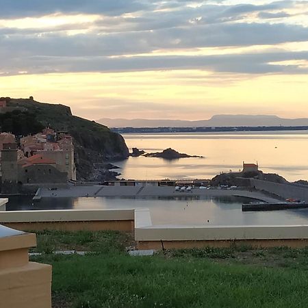 Location Vue Mer Du Samedi Au Samedi, Clim, Parking, Piscine, Plage Collioure Kültér fotó