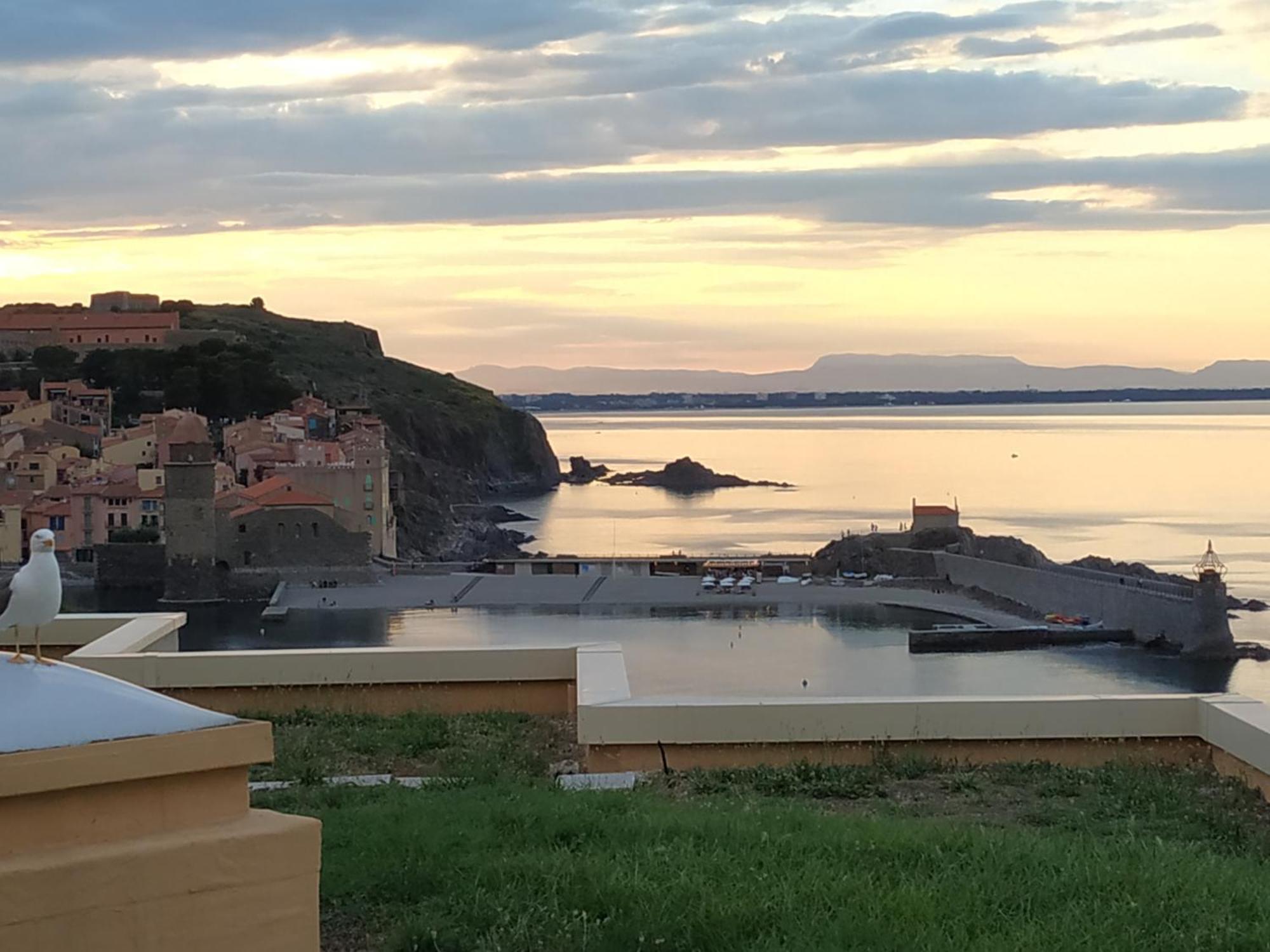 Location Vue Mer Du Samedi Au Samedi, Clim, Parking, Piscine, Plage Collioure Kültér fotó